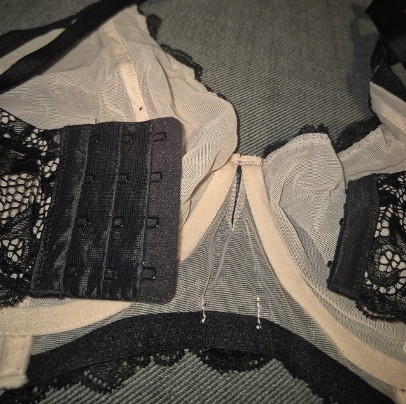 Paramour Bra - Picture 4 of 6